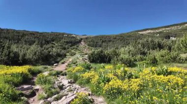 Bulgaristan 'ın Bezbog Gölü yakınlarındaki Pirin Dağı' nın İnanılmaz Yaz Manzarası