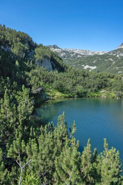 Bulgaristan 'ın Banderitsa Bölgesi yakınlarındaki Pirin Dağı' nın Şaşırtıcı Manzarası