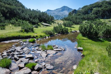 Bulgaristan 'ın Banderitsa Bölgesi yakınlarındaki Pirin Dağı' nın Şaşırtıcı Manzarası