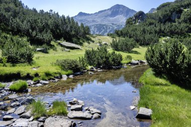 Bulgaristan 'ın Banderitsa Bölgesi yakınlarındaki Pirin Dağı' nın Şaşırtıcı Manzarası
