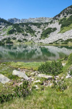 Bulgaristan 'ın Banderitsa Bölgesi yakınlarındaki Pirin Dağı' nın Şaşırtıcı Manzarası