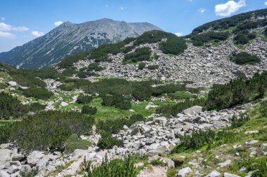 Bulgaristan 'ın Banderitsa Bölgesi yakınlarındaki Pirin Dağı' nın Şaşırtıcı Manzarası