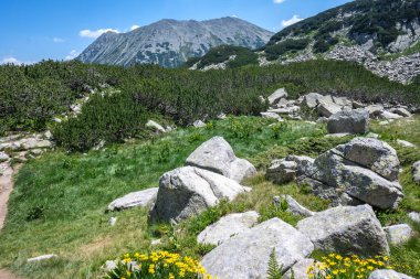 Bulgaristan 'ın Banderitsa Bölgesi yakınlarındaki Pirin Dağı' nın Şaşırtıcı Manzarası