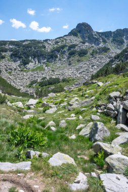 Bulgaristan 'ın Banderitsa Bölgesi yakınlarındaki Pirin Dağı' nın Şaşırtıcı Manzarası