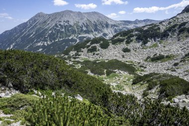 Bulgaristan 'ın Banderitsa Bölgesi yakınlarındaki Pirin Dağı' nın Şaşırtıcı Manzarası