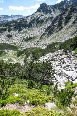 Bulgaristan 'ın Banderitsa Bölgesi yakınlarındaki Pirin Dağı' nın Şaşırtıcı Manzarası
