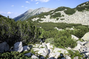 Bulgaristan 'ın Banderitsa Bölgesi yakınlarındaki Pirin Dağı' nın Şaşırtıcı Manzarası