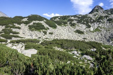 Bulgaristan 'ın Banderitsa Bölgesi yakınlarındaki Pirin Dağı' nın Şaşırtıcı Manzarası