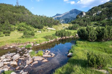 Bulgaristan 'ın Banderitsa Bölgesi yakınlarındaki Pirin Dağı' nın Şaşırtıcı Manzarası