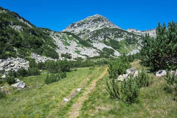 Bulgaristan 'ın Banderitsa Bölgesi yakınlarındaki Pirin Dağı' nın Şaşırtıcı Manzarası