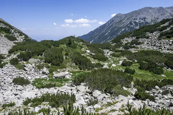 Bulgaristan 'ın Banderitsa Bölgesi yakınlarındaki Pirin Dağı' nın Şaşırtıcı Manzarası