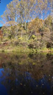 Bulgaristan 'ın Sofya kentinin Pancharevo Gölü yakınlarından geçen Iskar Nehri' nin Sonbahar Manzarası