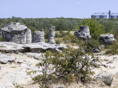 Pobiti Kamani (Upright Stones), Varna bölgesi, Bulgaristan