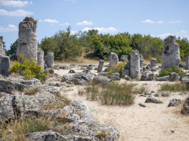 Pobiti Kamani (Upright Stones), Varna bölgesi, Bulgaristan