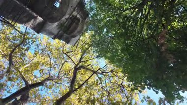 Pelion Dağı, Teselya, Yunanistan 'daki Kissos Köyü Panoraması