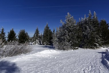 Bulgaristan 'ın Sofya Şehir Bölgesi, Vitosha Dağı' nın İnanılmaz Kış manzarası