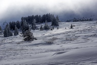 Bulgaristan 'ın Sofya Şehir Bölgesi, Vitosha Dağı' nın İnanılmaz Kış manzarası