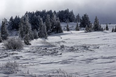 Bulgaristan 'ın Sofya Şehir Bölgesi, Vitosha Dağı' nın İnanılmaz Kış manzarası