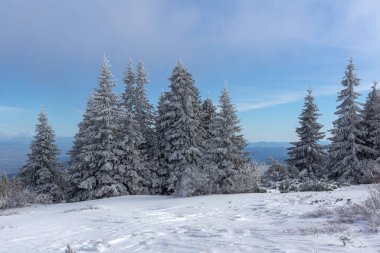 Bulgaristan 'ın Sofya Şehir Bölgesi, Vitosha Dağı' nın İnanılmaz Kış manzarası