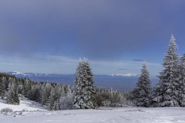 Bulgaristan 'ın Sofya Şehir Bölgesi, Vitosha Dağı' nın İnanılmaz Kış manzarası