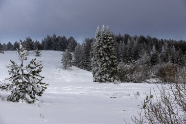 Bulgaristan 'ın Sofya Şehir Bölgesi, Vitosha Dağı' nın İnanılmaz Kış manzarası