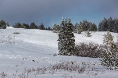 Bulgaristan 'ın Sofya Şehir Bölgesi, Vitosha Dağı' nın İnanılmaz Kış manzarası