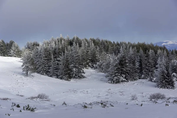 Bulgaristan 'ın Sofya Şehir Bölgesi, Vitosha Dağı' nın İnanılmaz Kış manzarası