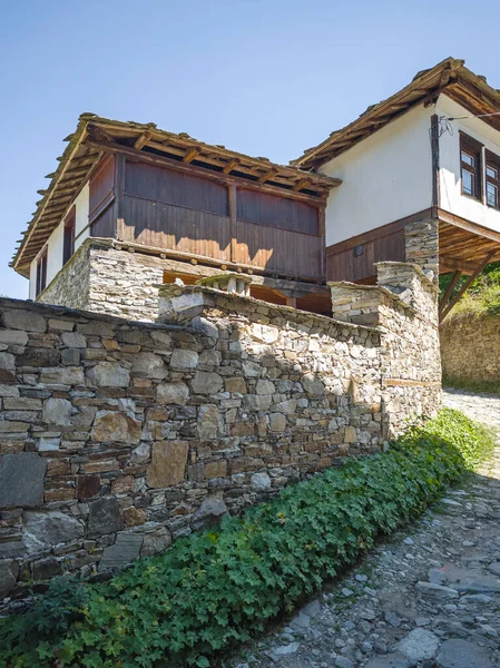 Bulgaristan 'ın Blagoevgrad bölgesindeki Otantik 19. yüzyıl evleriyle Dolen Köyü manzarası