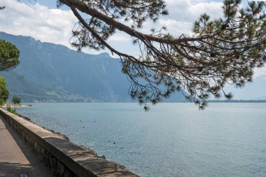 MONTREUX, SWitzERLAND - 19 Haziran 2023: Montreux, Vaud Kantonu, İsviçre Yaz Panoraması