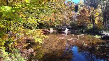 Bulgaristan 'ın Vitosha Dağı' nın şaşırtıcı sonbahar manzarası