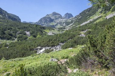 Amazing Summer landscape of Rila Mountain near Malyovitsa peak, Bulgaria