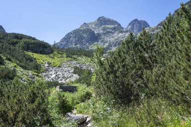 Amazing Summer landscape of Rila Mountain near Malyovitsa peak, Bulgaria