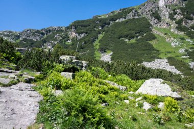 Amazing Summer landscape of Rila Mountain near Malyovitsa peak, Bulgaria