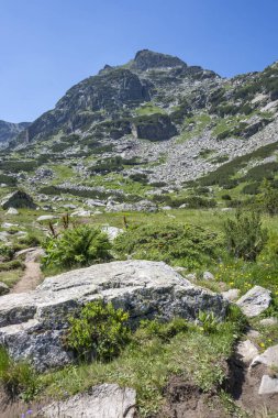 Amazing Summer landscape of Rila Mountain near Malyovitsa peak, Bulgaria