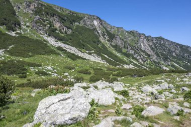 Amazing Summer landscape of Rila Mountain near Malyovitsa peak, Bulgaria