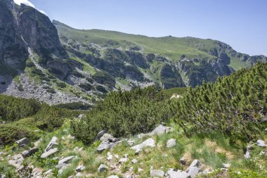 Amazing Summer landscape of Rila Mountain near Malyovitsa peak, Bulgaria