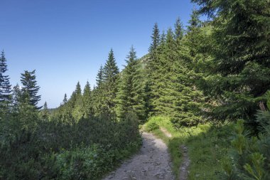 Amazing Summer landscape of Rila Mountain near Malyovitsa peak, Bulgaria