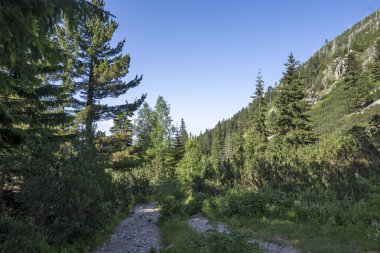 Amazing Summer landscape of Rila Mountain near Malyovitsa peak, Bulgaria