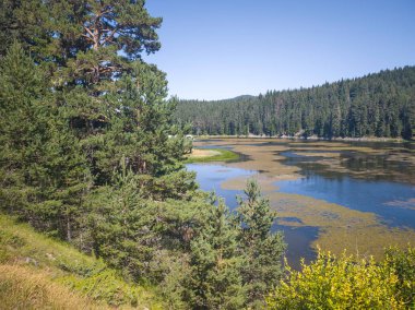 Bulgaristan 'ın Beglika Barajı Yaz manzarası, Pazardzhik Bölgesi