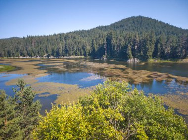 Bulgaristan 'ın Beglika Barajı Yaz manzarası, Pazardzhik Bölgesi