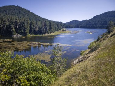 Bulgaristan 'ın Beglika Barajı Yaz manzarası, Pazardzhik Bölgesi
