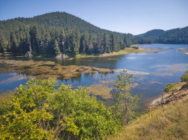 Bulgaristan 'ın Beglika Barajı Yaz manzarası, Pazardzhik Bölgesi