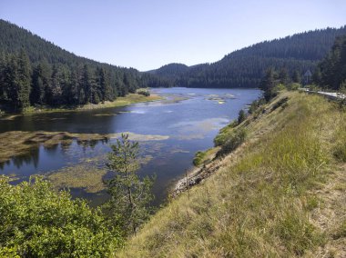 Bulgaristan 'ın Beglika Barajı Yaz manzarası, Pazardzhik Bölgesi