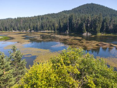 Bulgaristan 'ın Beglika Barajı Yaz manzarası, Pazardzhik Bölgesi