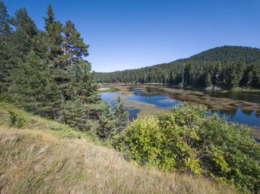 Bulgaristan 'ın Beglika Barajı Yaz manzarası, Pazardzhik Bölgesi