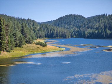 Bulgaristan 'ın Beglika Barajı Yaz manzarası, Pazardzhik Bölgesi