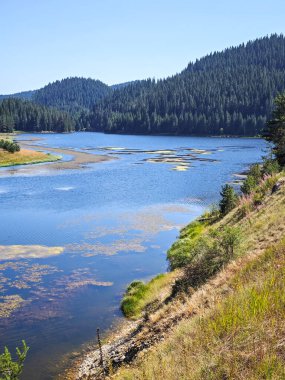 Bulgaristan 'ın Beglika Barajı Yaz manzarası, Pazardzhik Bölgesi