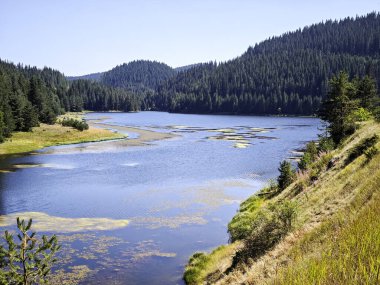 Bulgaristan 'ın Beglika Barajı Yaz manzarası, Pazardzhik Bölgesi
