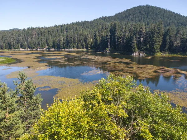 Bulgaristan 'ın Beglika Barajı Yaz manzarası, Pazardzhik Bölgesi