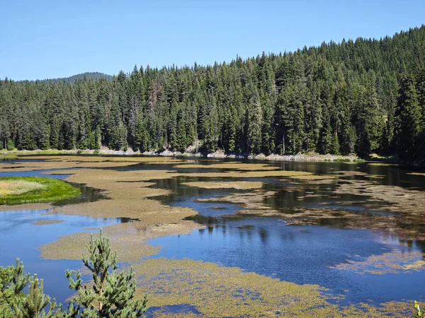 Bulgaristan 'ın Beglika Barajı Yaz manzarası, Pazardzhik Bölgesi